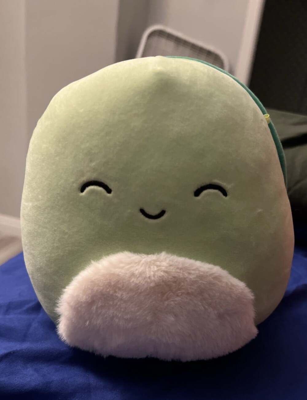 Squishmallows Henry Turtle Plush Green Stuffed Animal Soft Toy w/ Tag